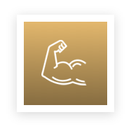 workout full body strength